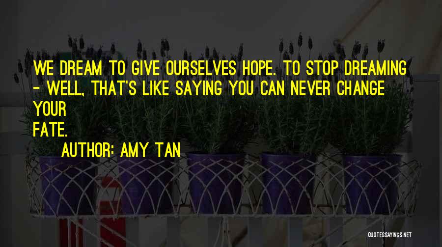 Never Stop Dreaming Quotes By Amy Tan