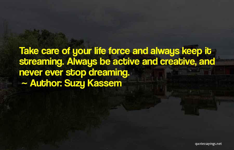 Never Stop Dreaming Quotes By Suzy Kassem