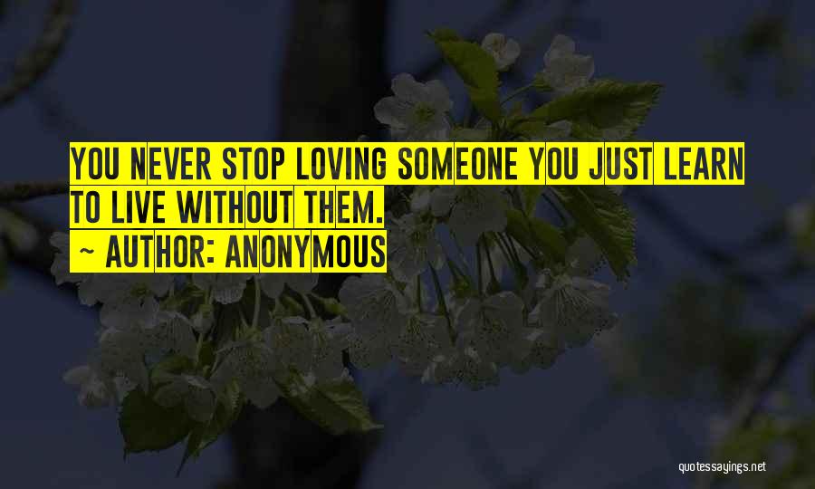 Never Stop Loving Quotes By Anonymous