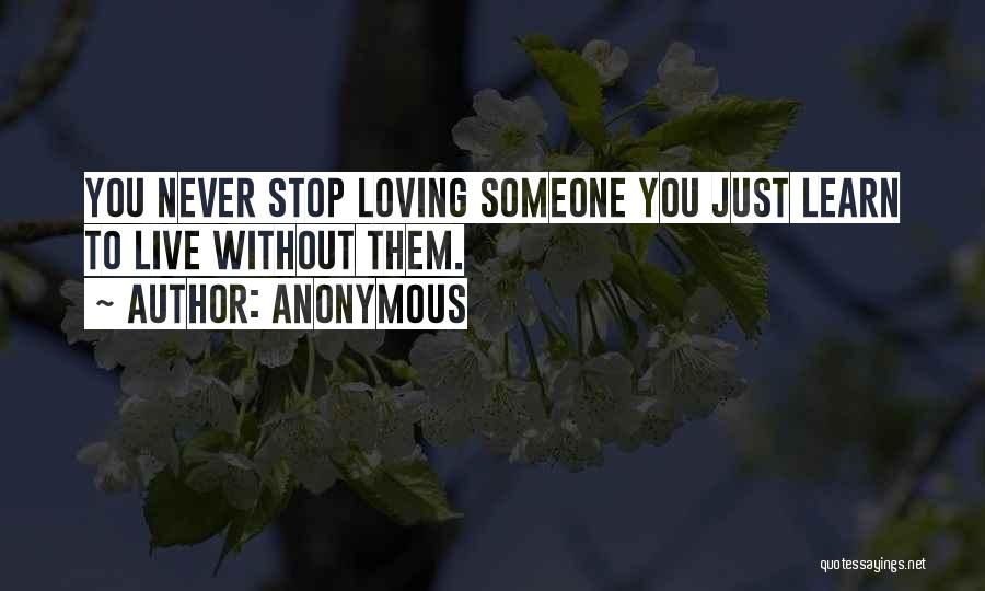 Never Stop Loving You Quotes By Anonymous
