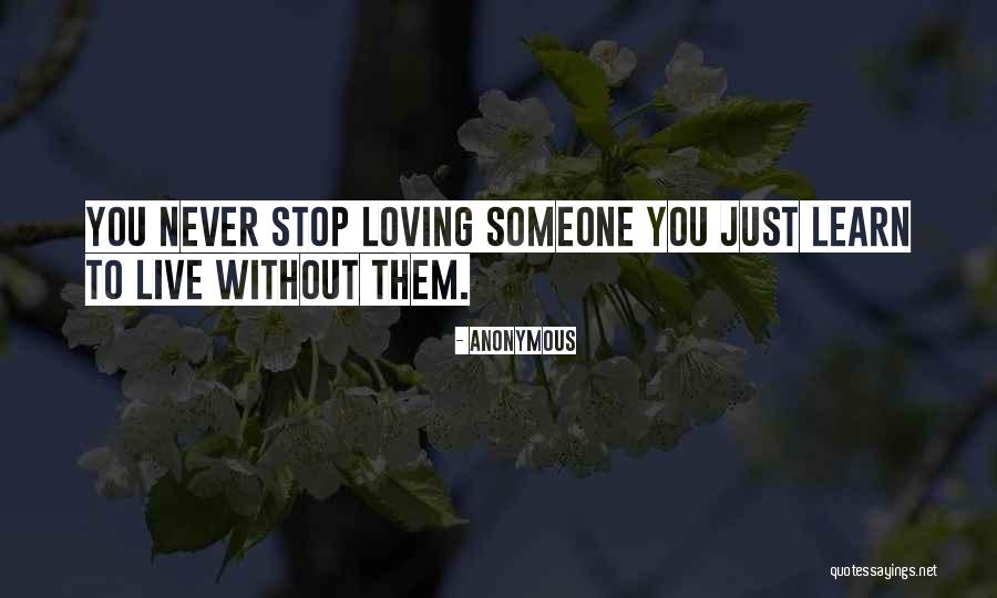 Never Stop Loving You Quotes By Anonymous