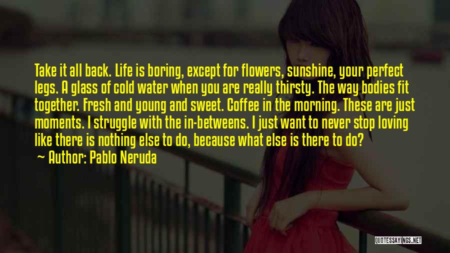 Never Stop Loving You Quotes By Pablo Neruda