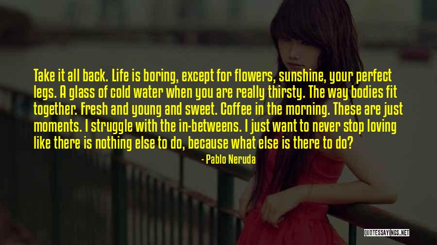 Never Stop Perfect Yourself Quotes By Pablo Neruda Never Stop Perfect Yourself Quotes By Pablo Neruda