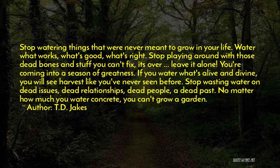 Never Stop Playing Quotes By T.D. Jakes