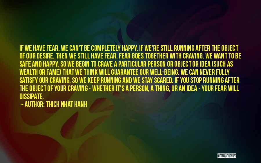 Never Stop Running Quotes By Thich Nhat Hanh