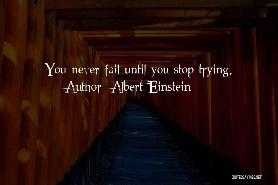 Never Stop Trying Quotes By Albert Einstein