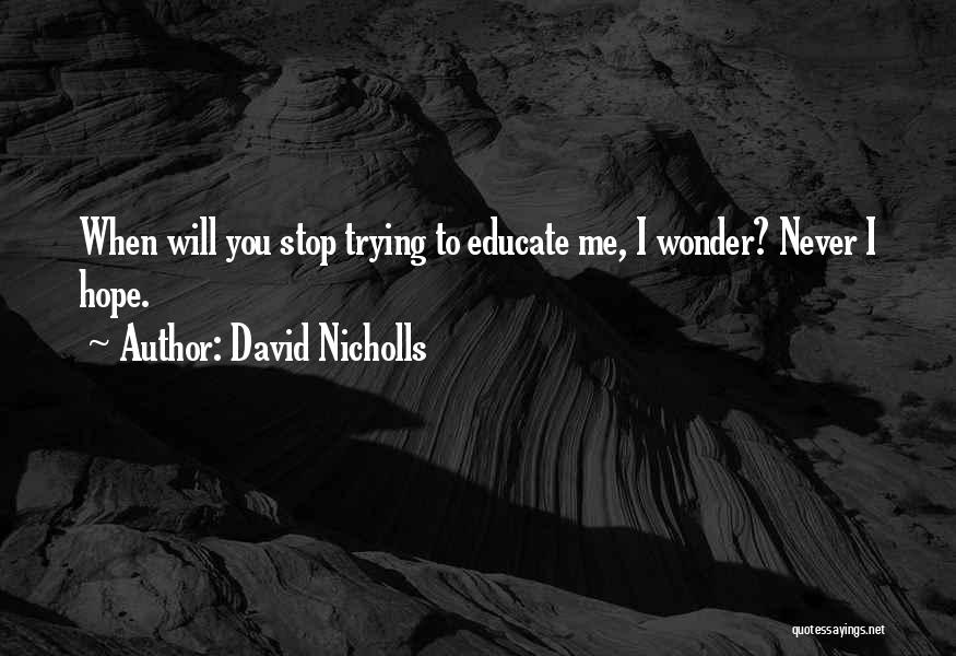 Never Stop Trying Quotes By David Nicholls