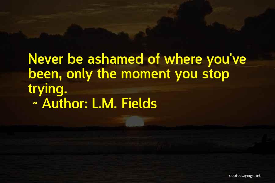 Never Stop Trying Quotes By L.M. Fields