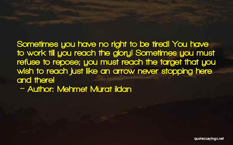 Never Stopping Quotes By Mehmet Murat Ildan