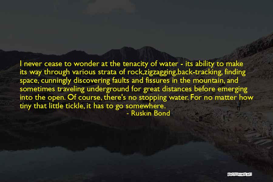 Never Stopping Quotes By Ruskin Bond