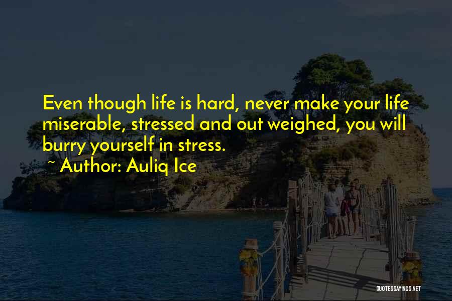 Never Stress Yourself Quotes By Auliq Ice