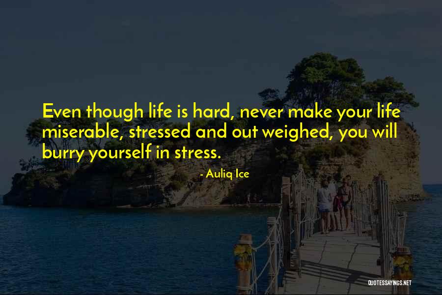 Never Stress Yourself Quotes By Auliq Ice