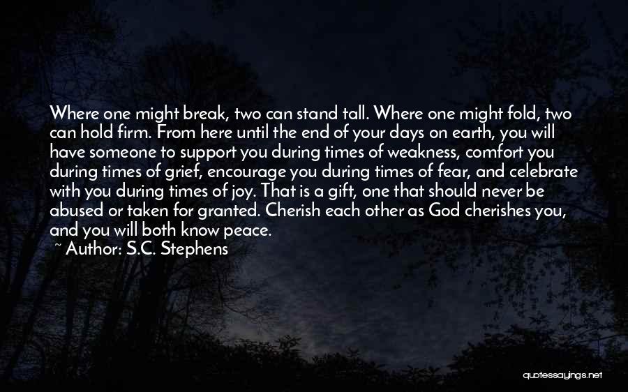 Never Taken For Granted Quotes By S.C. Stephens