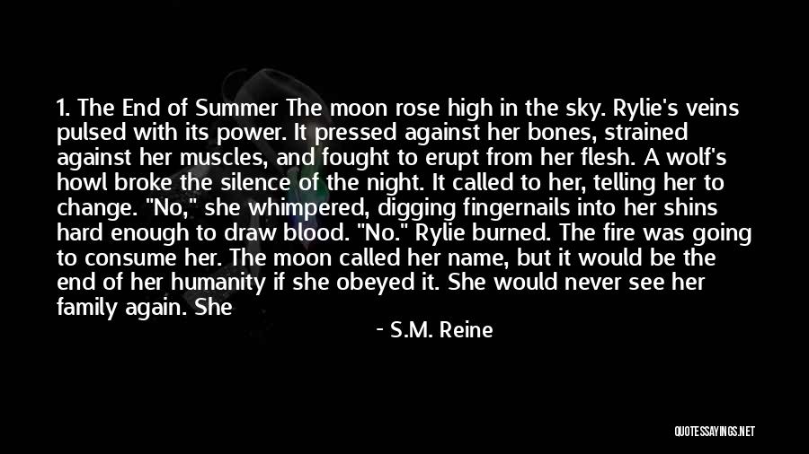 Never Telling Someone You Love Them Quotes By S.M. Reine