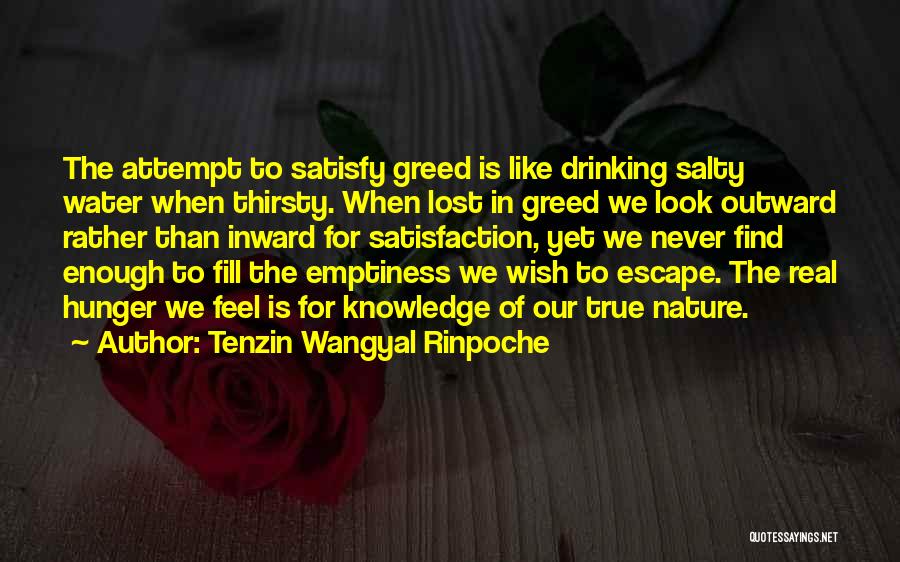 Never Thirsty Quotes By Tenzin Wangyal Rinpoche