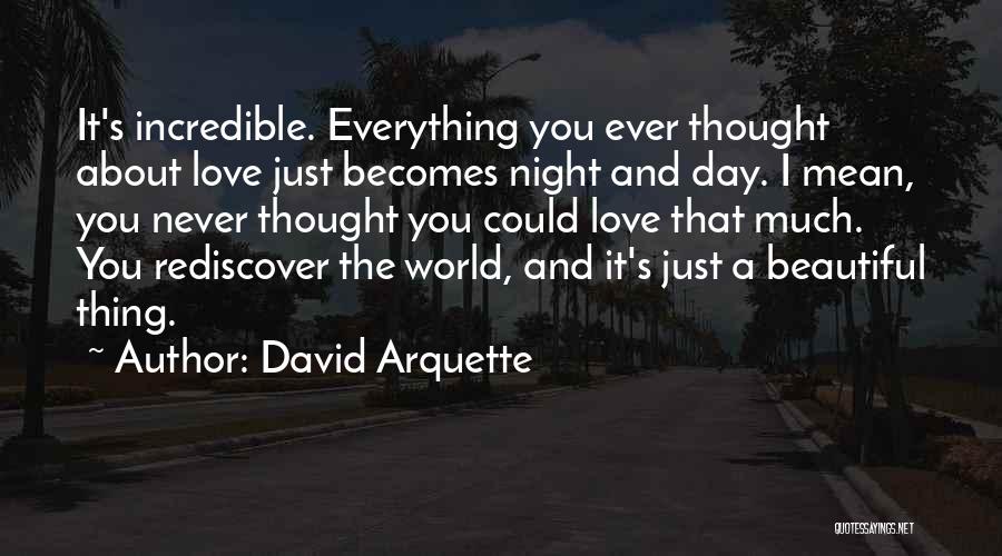 Never Thought I Could Love Quotes By David Arquette