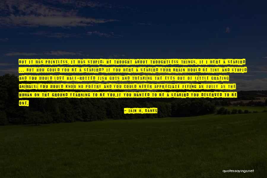 Never Thought I Would Love You Quotes By Iain M. Banks Never Thought I Would Love You Quotes By Iain M. Banks