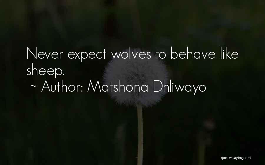 Never To Expect Quotes By Matshona Dhliwayo