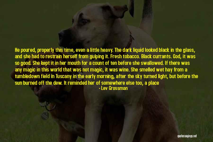 Never Too Far Away Quotes By Lev Grossman Never Too Far Away Quotes By Lev Grossman