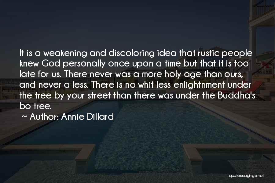 Never Too Late Quotes By Annie Dillard