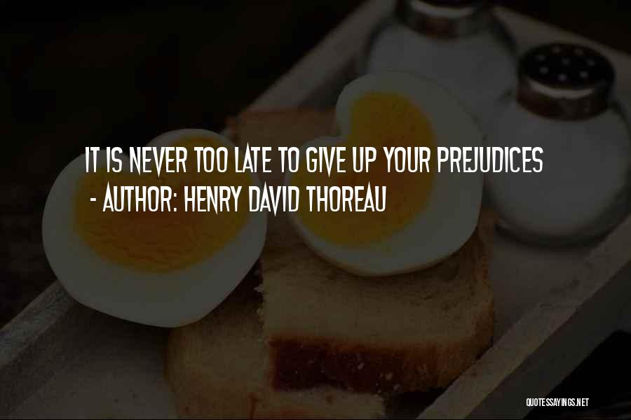 Never Too Late Quotes By Henry David Thoreau