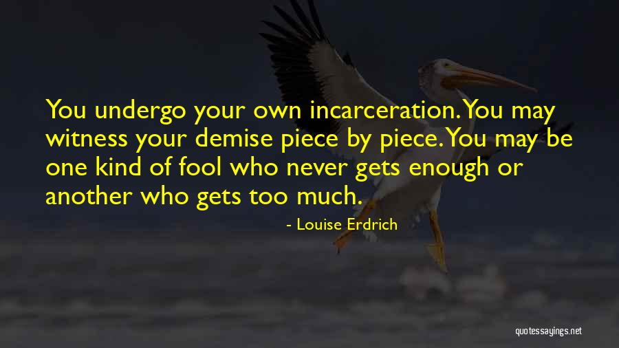Never Too Much Quotes By Louise Erdrich Never Too Much Quotes By Louise Erdrich