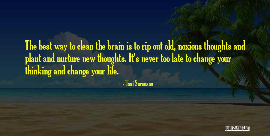 Never Too Old To Change Quotes By Toni Sorenson Never Too Old To Change Quotes By Toni Sorenson