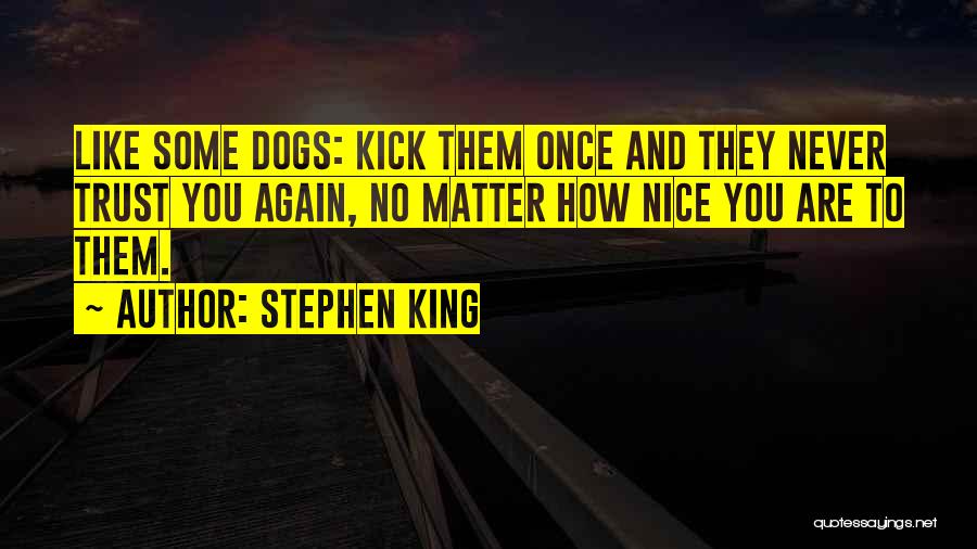 Never Trust Again Quotes By Stephen King