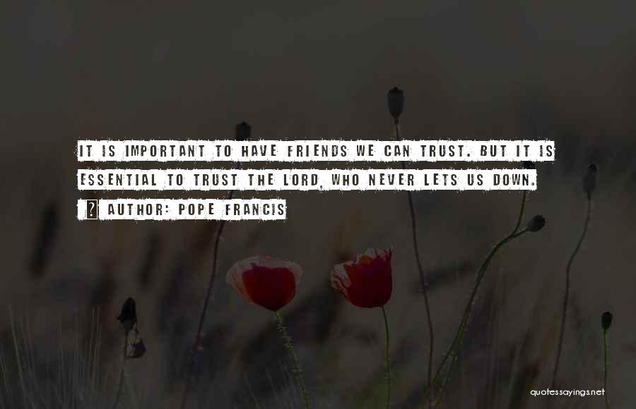 Never Trust Friends Quotes By Pope Francis