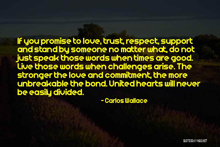 Never Trust Too Easily Quotes By Carlos Wallace