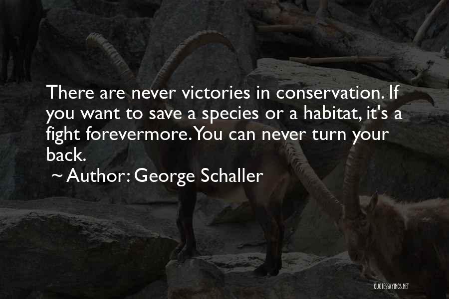 Never Turn Back Quotes By George Schaller