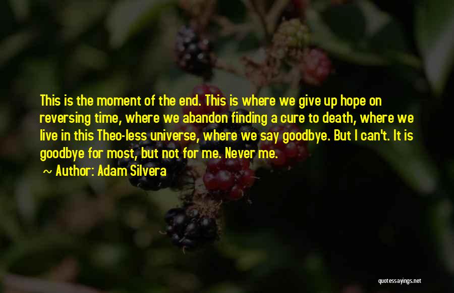 Never Want To Say Goodbye Quotes By Adam Silvera
