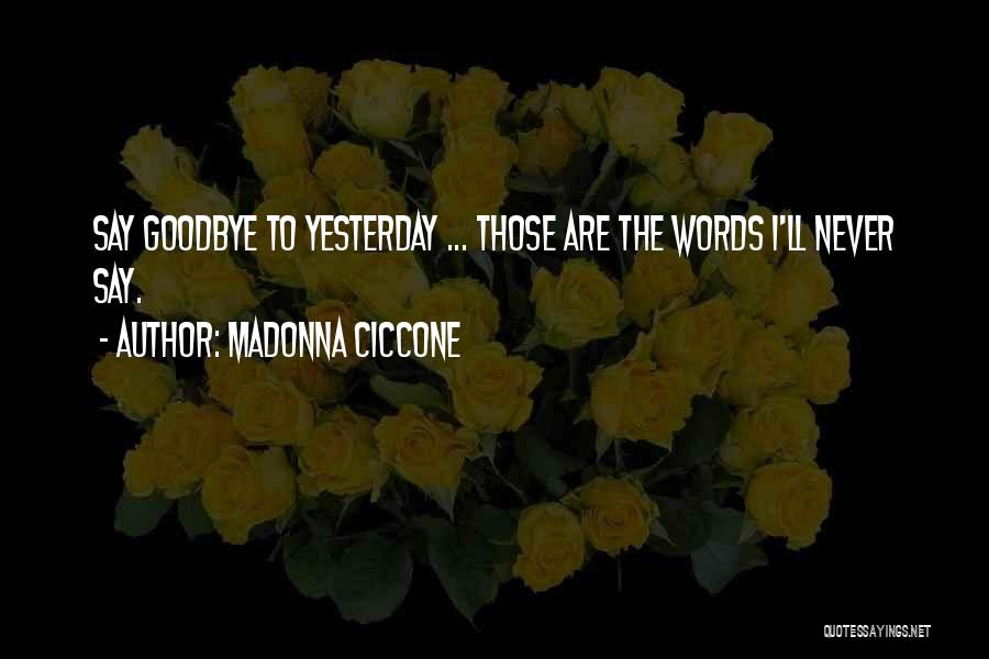Never Want To Say Goodbye Quotes By Madonna Ciccone