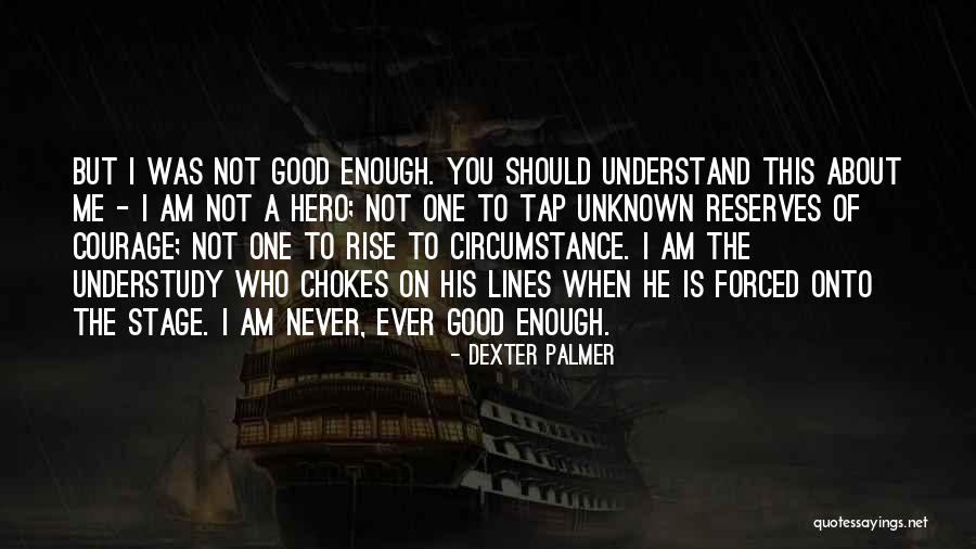 Never Was Good Enough Quotes By Dexter Palmer