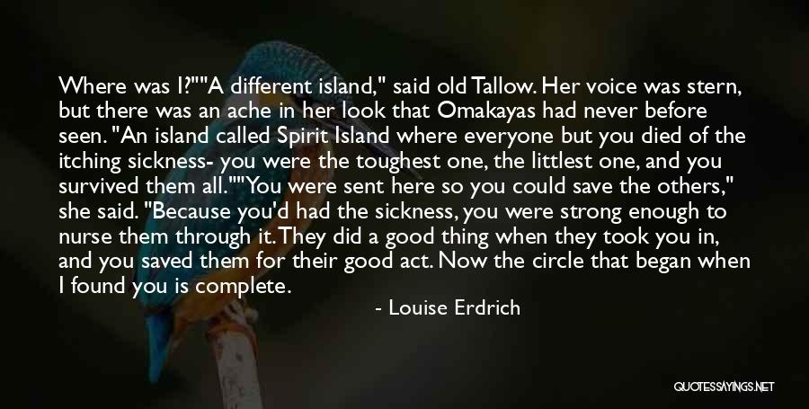 Never Was Good Enough Quotes By Louise Erdrich