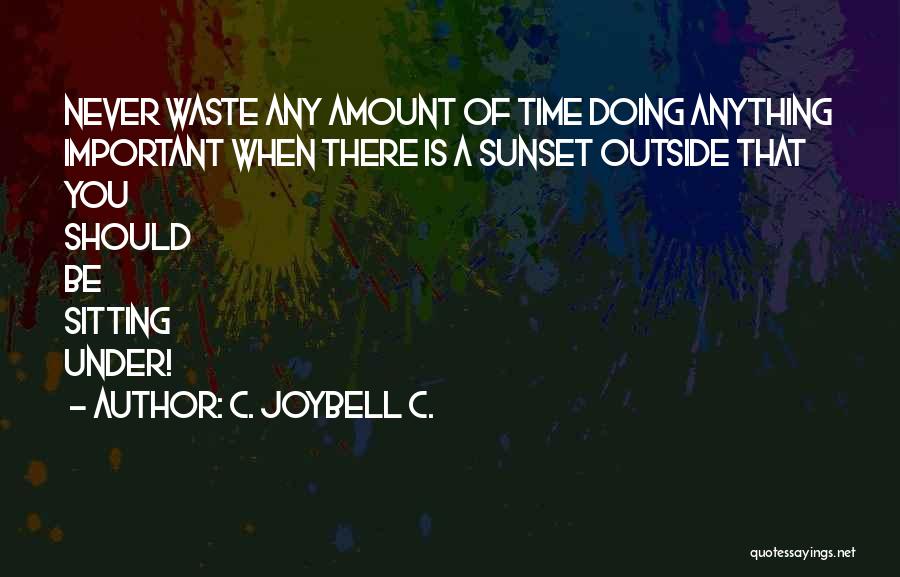 Never Waste Time Quotes By C. JoyBell C.