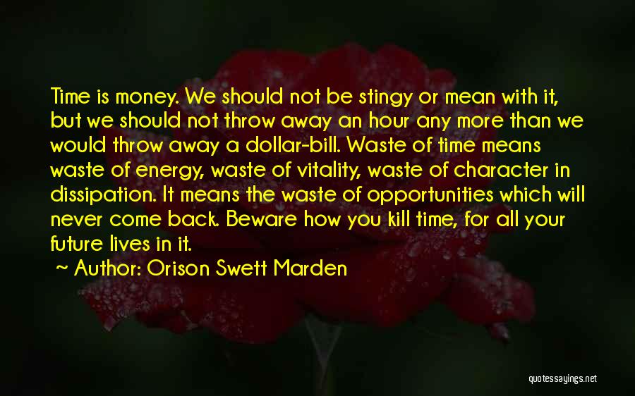 Never Waste Time Quotes By Orison Swett Marden