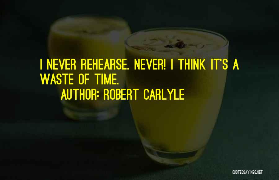 Never Waste Time Quotes By Robert Carlyle