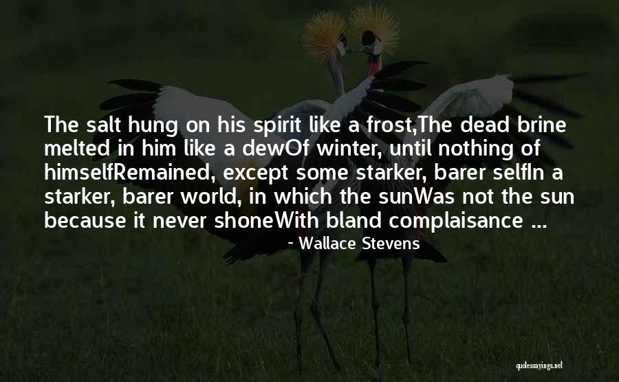 Never Yet Melted Quotes By Wallace Stevens Never Yet Melted Quotes By Wallace Stevens