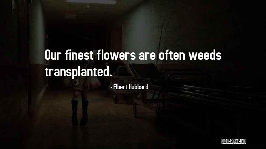Nevinost 1 Quotes By Elbert Hubbard Nevinost 1 Quotes By Elbert Hubbard