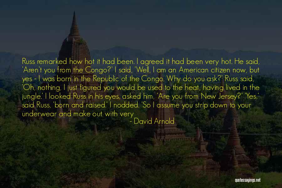 New American Citizen Quotes By David Arnold