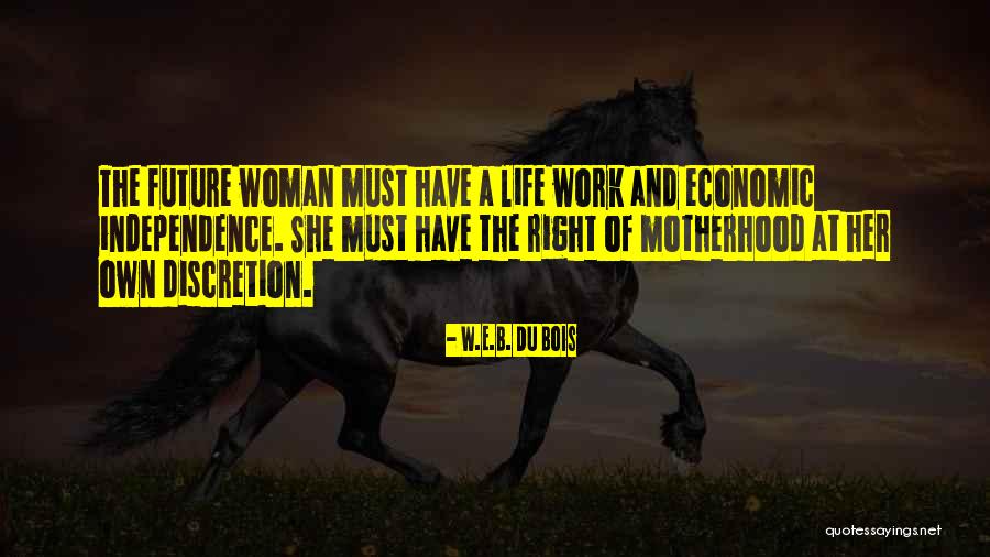 New American Standard Quotes By W.E.B. Du Bois New American Standard Quotes By W.E.B. Du Bois