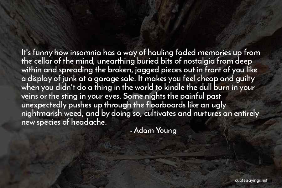 New And Funny Quotes By Adam Young New And Funny Quotes By Adam Young