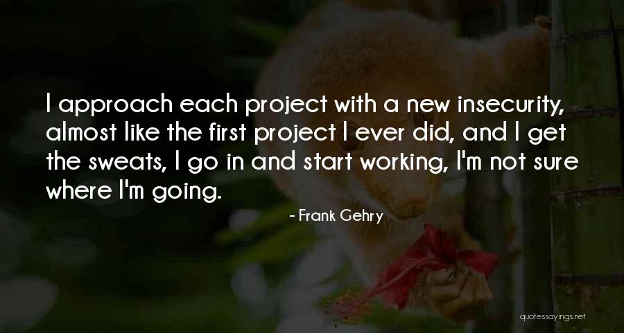 New Approach Quotes By Frank Gehry