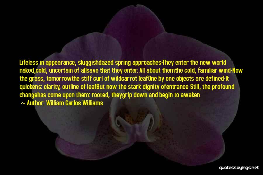 New Approaches Quotes By William Carlos Williams