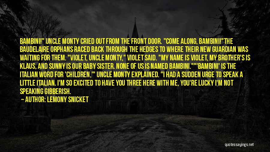 New Baby Brother Quotes By Lemony Snicket