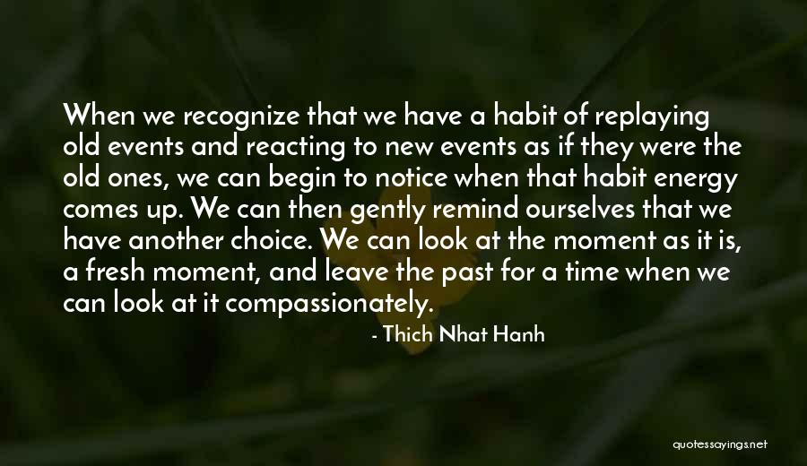 New Begin Quotes By Thich Nhat Hanh