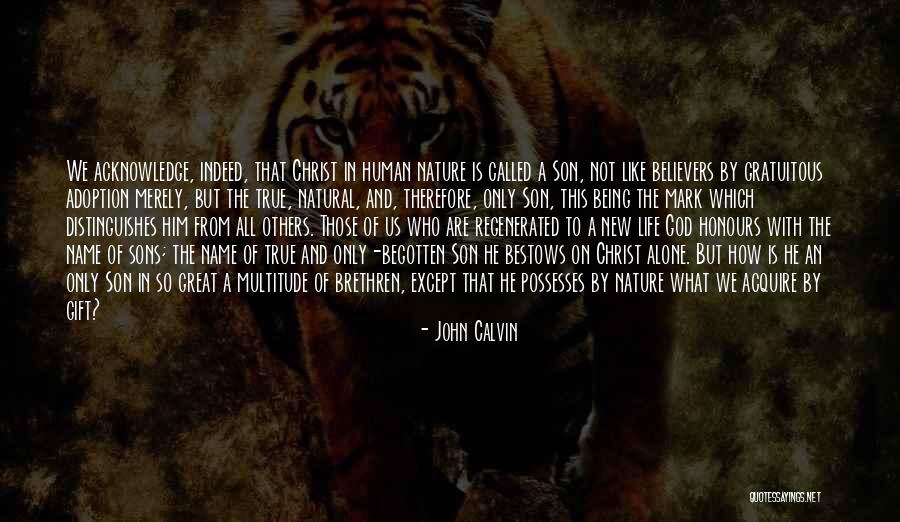 New Believers In Christ Quotes By John Calvin