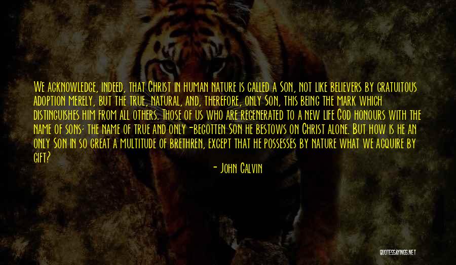 New Believers Quotes By John Calvin New Believers Quotes By John Calvin