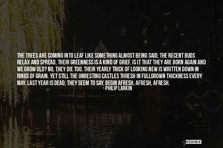 New Born Leaf Quotes By Philip Larkin New Born Leaf Quotes By Philip Larkin